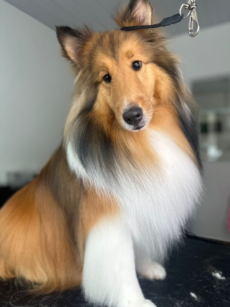 Imagem do WhatsApp de 2024-01-25 à(s) 08.33.00_8f443b9b