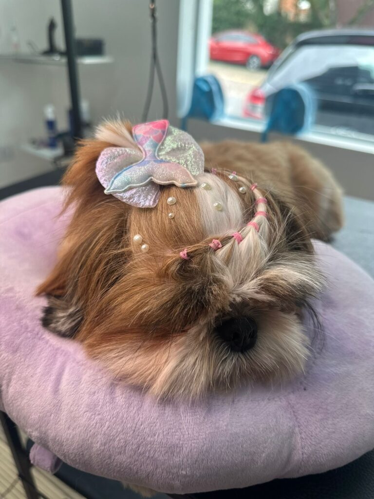 Imagem do WhatsApp de 2024-01-25 à(s) 08.34.37_2578e1a7