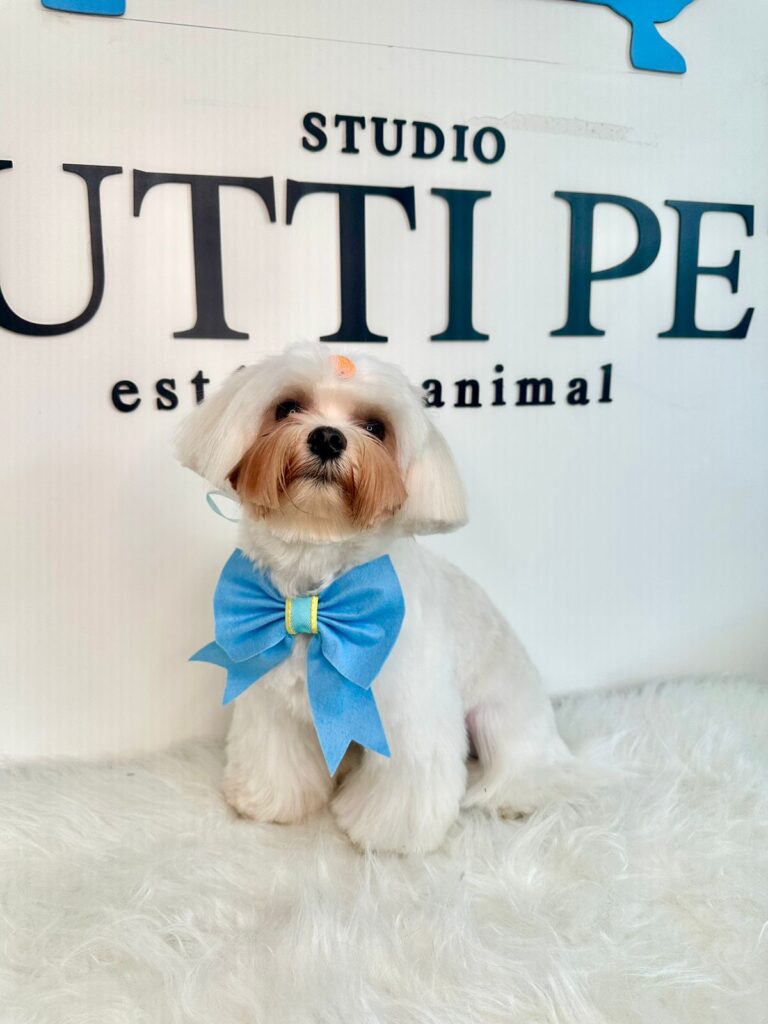 Imagem do WhatsApp de 2024-01-25 à(s) 08.34.38_16f0f351