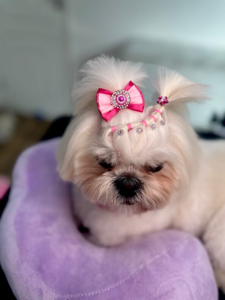 Imagem do WhatsApp de 2024-01-25 à(s) 08.34.39_0b8dba48