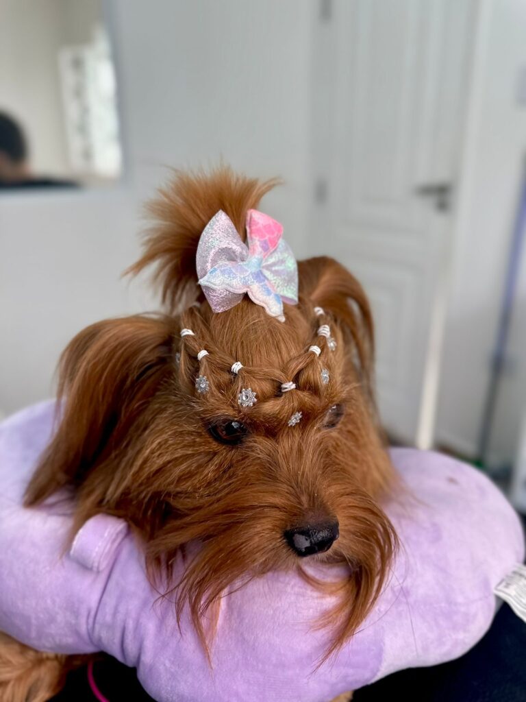 Imagem do WhatsApp de 2024-01-25 à(s) 08.34.39_de412ac5